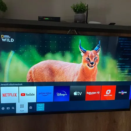 Spengler Apartman Harkány